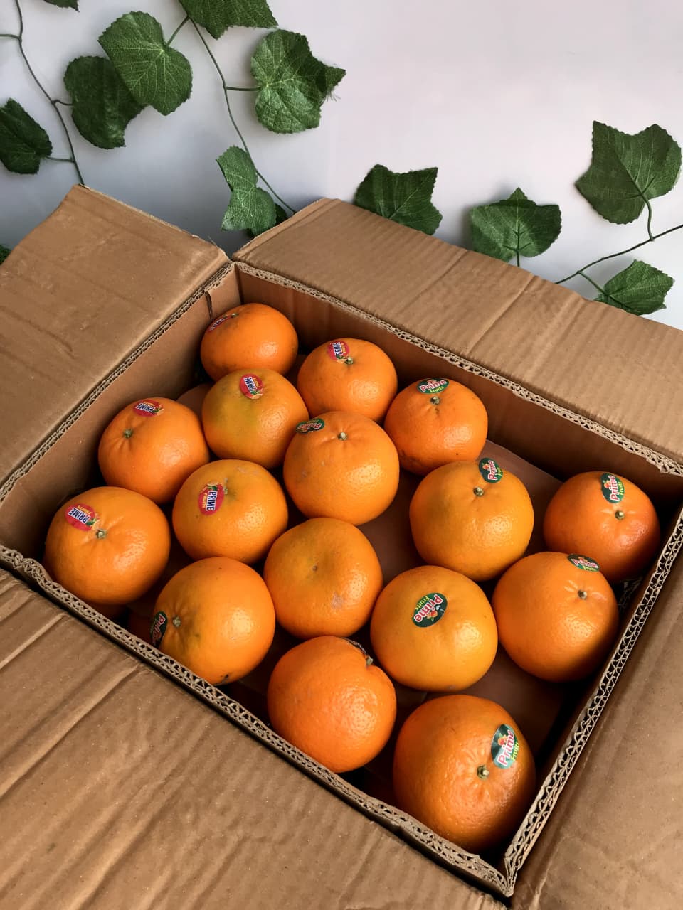 Export Quality 10Kg Kinnow Box