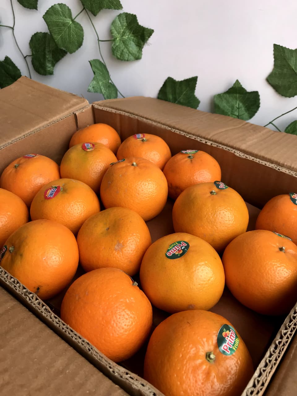 Export Quality 10Kg Kinnow Box