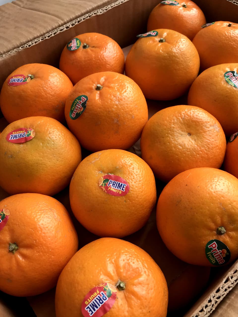 Export Quality 10Kg Kinnow Box