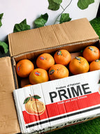 Export Quality 10Kg Kinnow Box